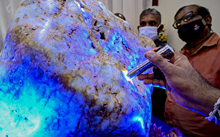 310公斤藍寶石 斯里蘭卡稱發現全球最大原石