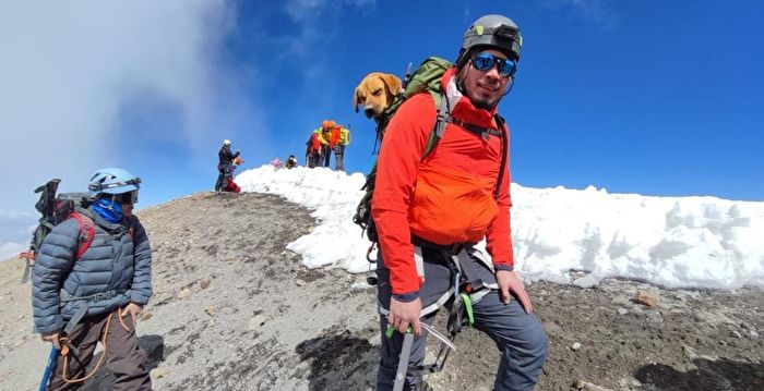 流浪狗受困墨西哥高峰 一支登山队前往救援