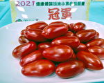 小果番茄甜中带酸 曾启荣称冠台湾赛