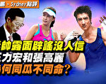 李宇明：中紀委為什麼只管王力宏卻不管張高麗