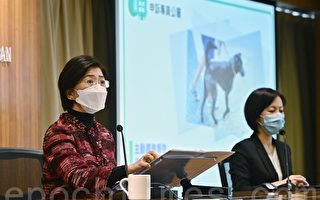 香港十年逾16萬狗未續牌及打疫苗