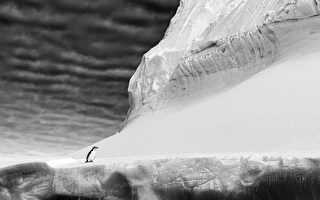 南极洲一巨大冰山脱落 面积几乎相当于伦敦