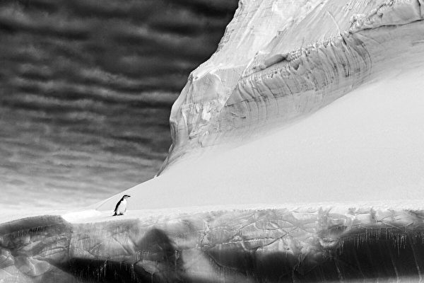 南极洲一巨大冰山脱落 面积几乎相当于伦敦