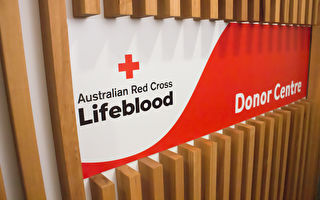疫情致10万献血者无法履约 Lifeblood吁澳人献血