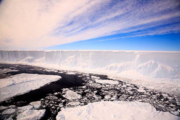 科学家意外发现：南极冰架下竟有这么多物种