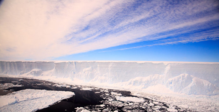 科学家意外发现：南极冰架下竟有这么多物种