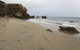 南加海灘恢復常態 漏油影響需繼續觀測