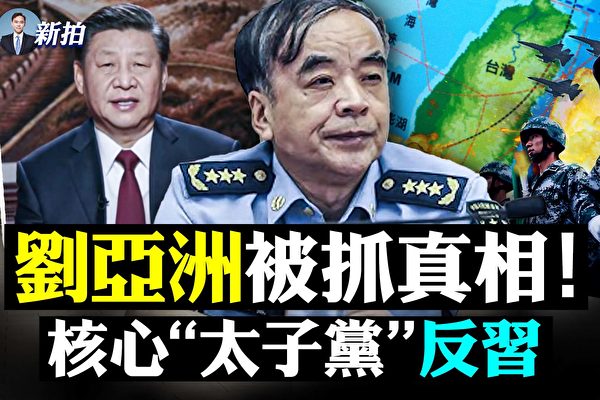 【拍案惊奇】刘亚洲被抓真相 核心太子党反习？