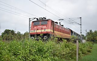 印度男子欲卧轨自杀 火车司机及时踩刹车