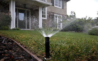 加州通過強制限水措施 最快月底實施