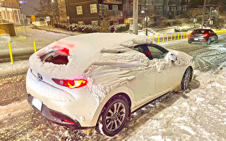 未清理積雪  超150輛車被巡警攔下