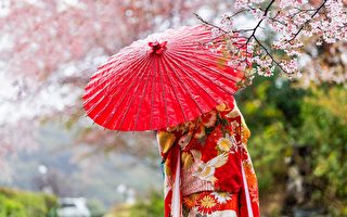 传承上千年 日本和伞如何制作？