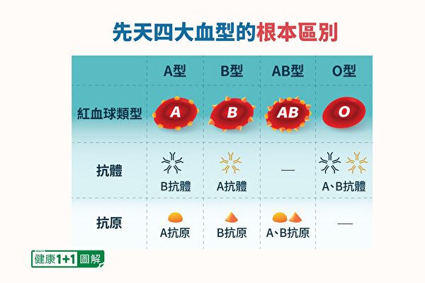 人体有A、B、AB、O等4大先天血型，指的是红血球表面的抗原型态。（健康1+1／大纪元）