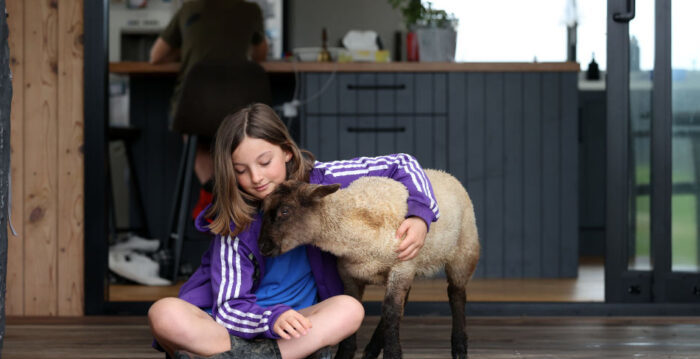 【名家专栏】保护动物比保护儿童更重要吗？