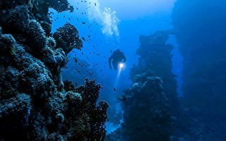 研究发现深海菌类无需阳光也能制造氧气