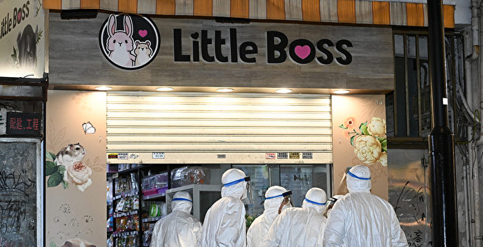 香港仓鼠验出病毒阳性 当局将杀所有宠物店仓鼠
