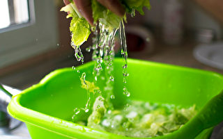 洗生菜不是開水龍頭沖 這樣洗才乾淨