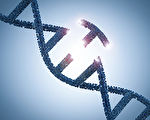 新技术利用反转子改进基因编辑