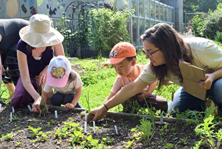 孩子們在皇后區植物園種植蔬菜。