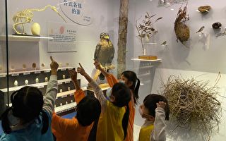 北部濱海鳥類特展 海科館：了解鳥的大小事