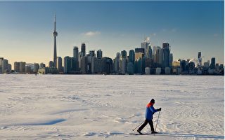 多伦多湖滨结厚冰 民众享受滑冰乐趣