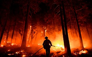 风势趋缓助灭火 加州沿海山火受控率达35%