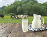 有機牛奶與普通牛奶差別在哪裡？