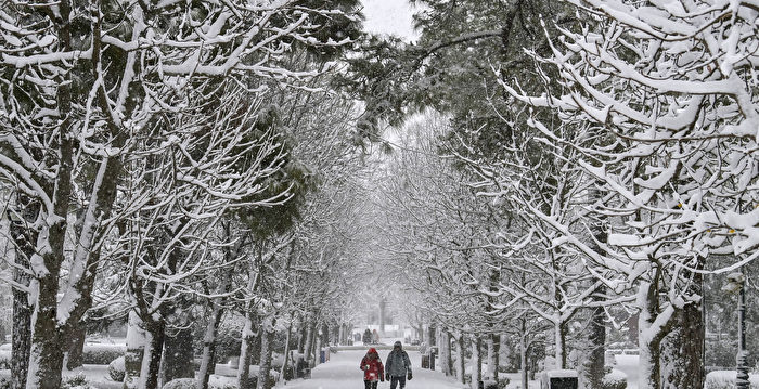 组图：希腊遭遇寒流 罕见降下大雪