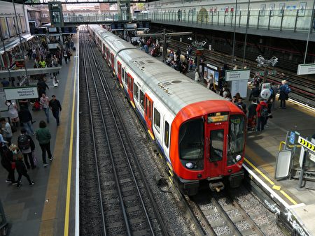 天鹅静坐铁轨上 伦敦地铁多班次延误或取消
