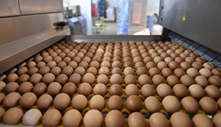 农委会将优先调度高雄、屏东的库存鸡蛋补齐货源。