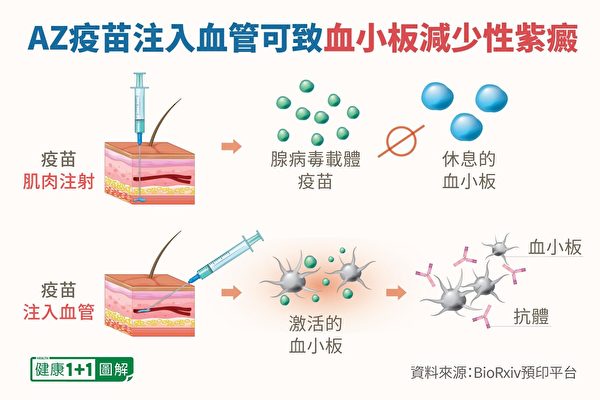 疫苗不应注射到血管内，会产生血小板减少性紫癜（健康1+1制图）