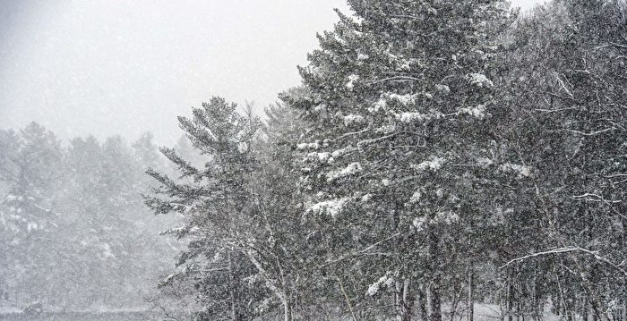 冬季风暴周末侵袭美东北部 降雪或逾1英尺