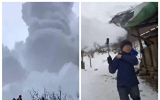 雲南景區雪崩「吞噬」樹木房屋 遊客急逃