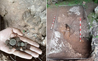西班牙野獾覓食 意外挖出大批古羅馬硬幣