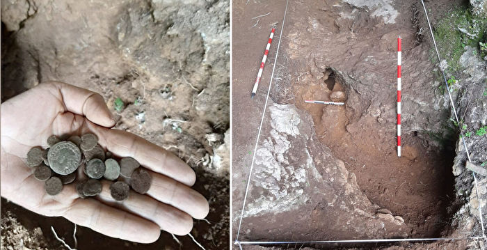 西班牙野獾觅食 意外挖出大批古罗马硬币