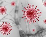 研究：微小中共病毒可“逃离”隔离室封闭环境