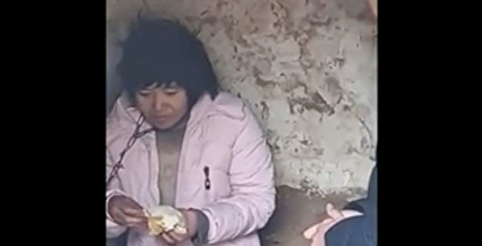 千百度:在今天的中国,还有多少疯了的杨某侠