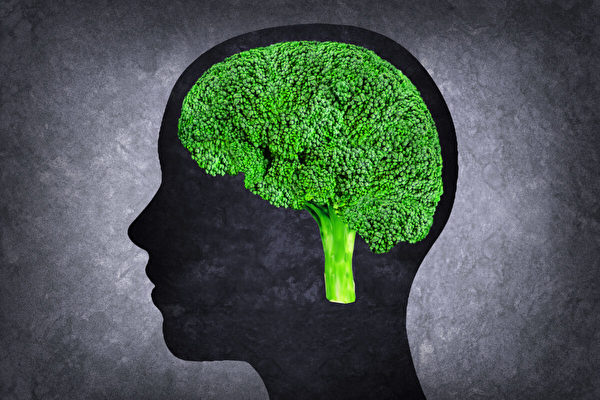 研究：西蘭花有助於刺激腦神經再生