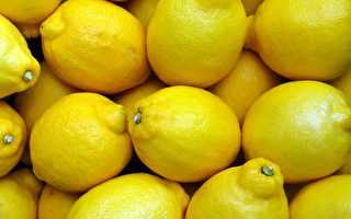英国2923颗柠檬 组成世界最强水果电池