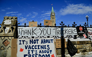 加拿大法律團體：渥太華和平抗議受憲章保護