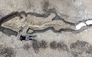 最完整魚龍化石現英國水庫 距今1.8億年