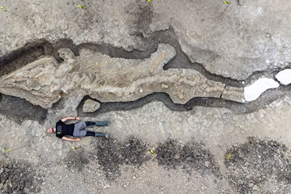 最完整鱼龙化石现英国水库 距今1.8亿年