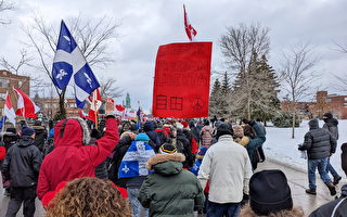 加拿大各城市抗議政府限制令