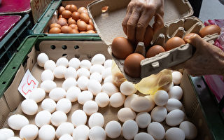 「紅盤價」名稱廢除 台農委會將介入過年雞蛋收購價