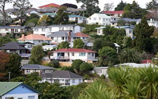 最新數據：新西蘭1月房市交易量下降近三成