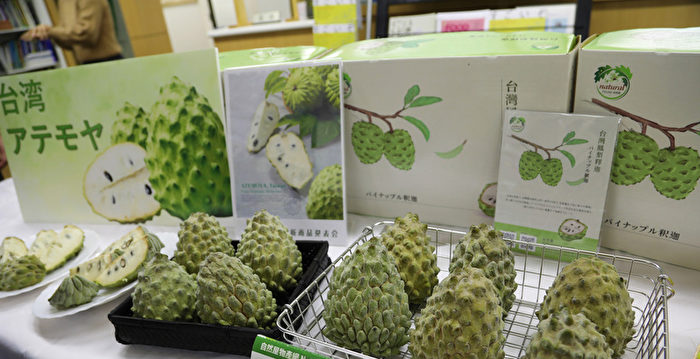 遭中共暂停进口 台湾水果进军日本实体市场