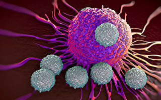 T细胞免疫疗法成功治愈两名血癌患者