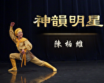 【演員專訪】神韻明星—陳柏維