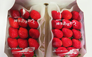 日本草莓农药残留超标频传 食药署启动逐批查验