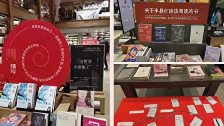 还有多少不为人知的 铁链女 10年人口普查 普查数据 大纪元